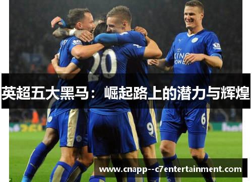 英超五大黑马:崛起路上的潜力与辉煌 英超五大黑马:崛起路上的潜力与辉煌