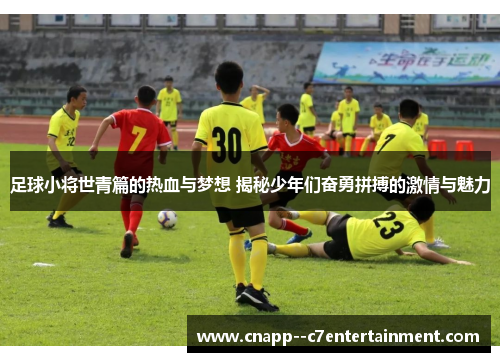 足球小将世青篇的热血与梦想 揭秘少年们奋勇拼搏的激情与魅力