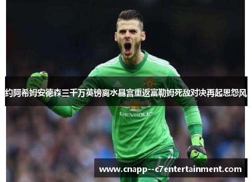 约阿希姆安德森三千万英镑离水晶宫重返富勒姆死敌对决再起恩怨风