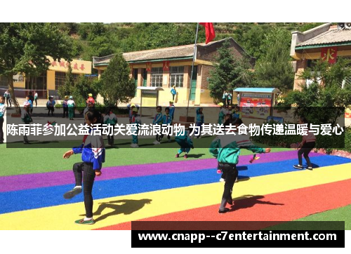 陈雨菲参加公益活动关爱流浪动物 为其送去食物传递温暖与爱心