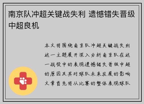 南京队冲超关键战失利 遗憾错失晋级中超良机